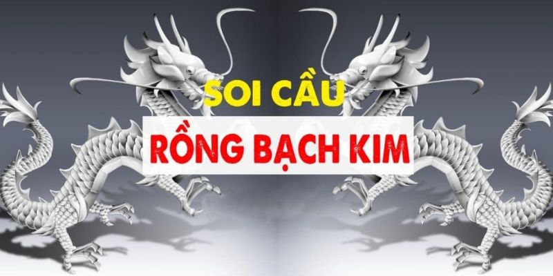 Hướng Dẫn Newbie Cách Soi Cầu Rồng Bạch Kim Chuẩn Xác